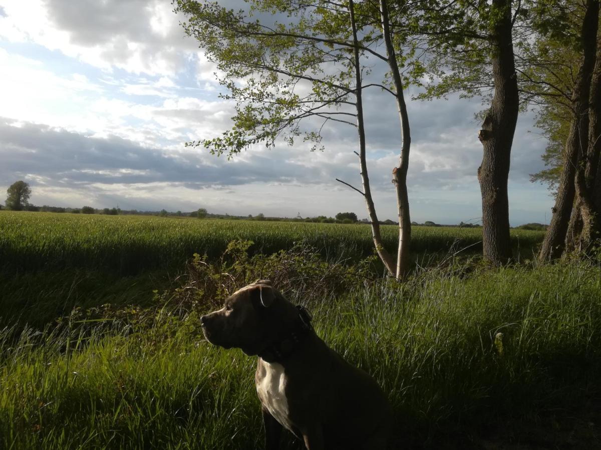 Appartamento Litti Worpswede Esterno foto